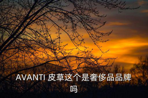 AVANTI，阿凡提用英語怎么說