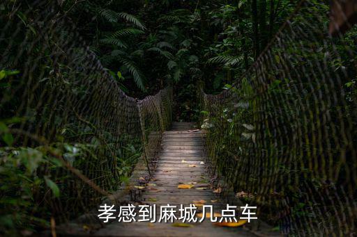 孝感到麻城幾點車
