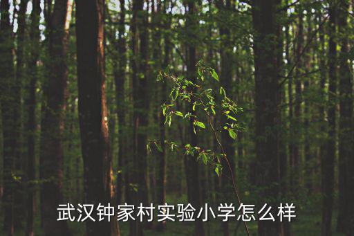 武漢鐘家村實驗小學怎么樣