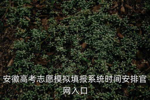 填報志愿模擬系統(tǒng)，河北高考志愿模擬填報系統(tǒng)時間安排官網(wǎng)入口