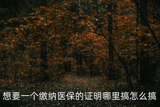 想要一個繳納醫保的證明哪里搞怎么搞