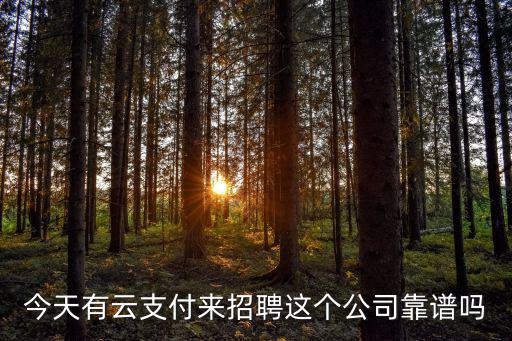 云招聘，一什么云什么成語