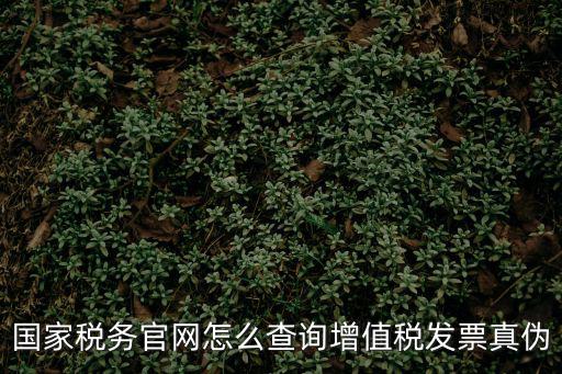 國家稅務官網怎么查詢增值稅發票真偽