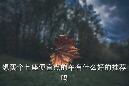 想買個七座便宜點的車有什么好的推薦嗎