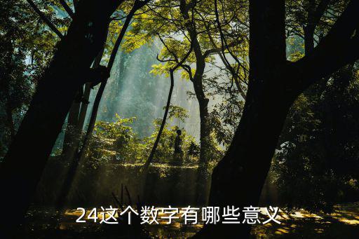 24這個數字有哪些意義