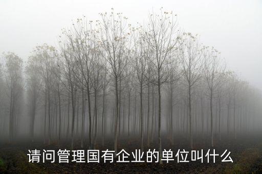 請問管理國有企業的單位叫什么
