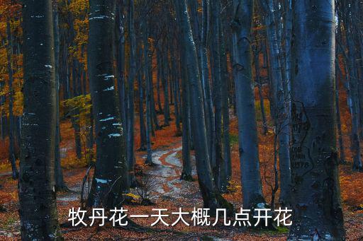 牡丹開花時間，幾月份是牡丹盛開的季節(jié)