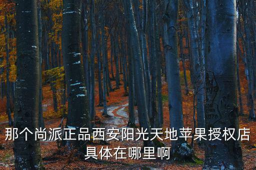尚派正品，那個尚派正品西安萬象城店 的蘋果授權店的地址是什么