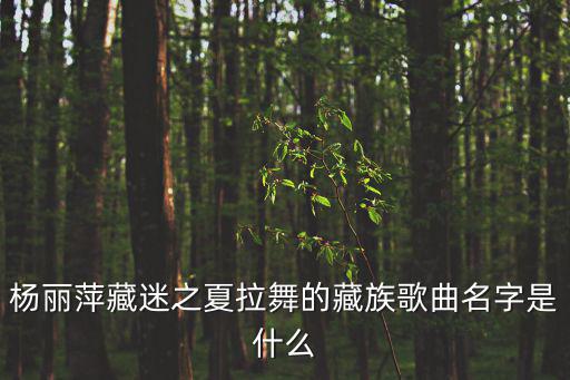 楊麗萍藏迷之夏拉舞的藏族歌曲名字是什么