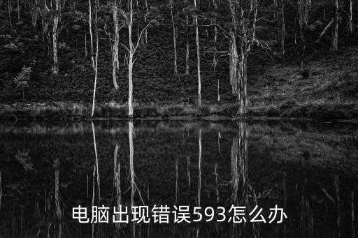 電腦出現錯誤593怎么辦