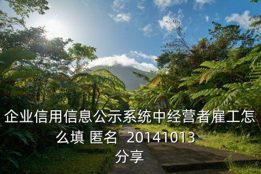 企業(yè)信用信息公示系統(tǒng)中經(jīng)營者雇工怎么填 匿名  20141013  分享