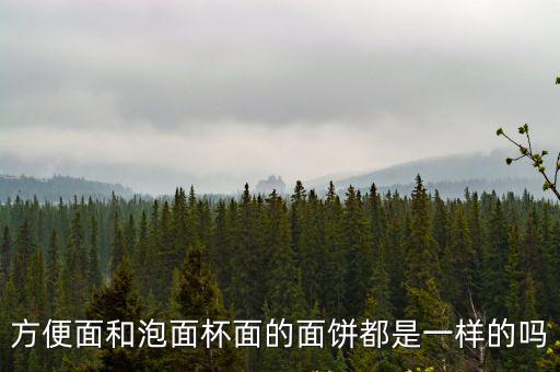 方便面和泡面杯面的面餅都是一樣的嗎