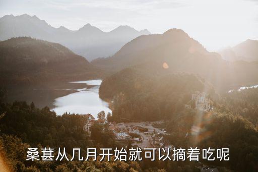 桑葚從幾月開始就可以摘著吃呢