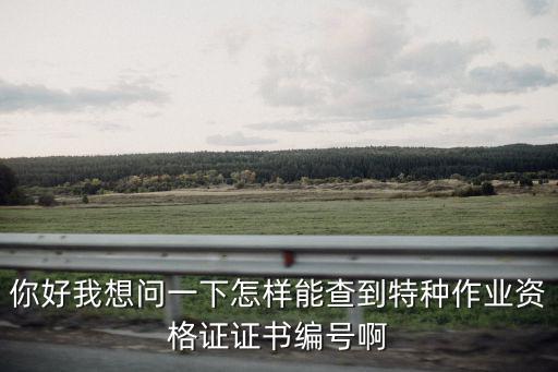 你好我想問一下怎樣能查到特種作業資格證證書編號啊