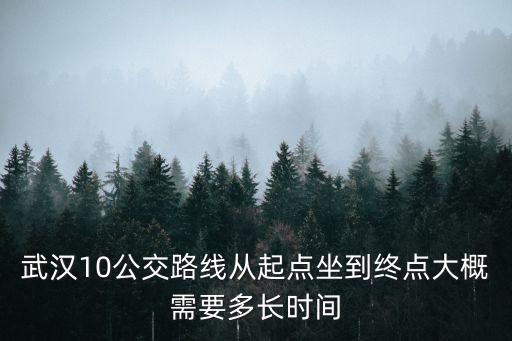 武漢地鐵10號線，武漢地鐵10號線會不走墨水湖走江堤中路嗎