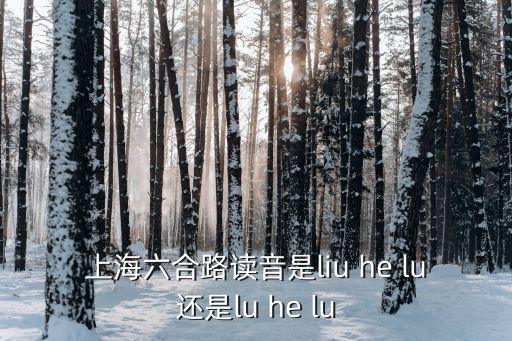 六合路，漢口六合路有什么公交車到武漢音樂學(xué)院