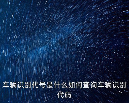 車輛識別代碼是什么意思，在交通信息網上查違章時需要輸入車輛識別代碼這個識別代碼是什么