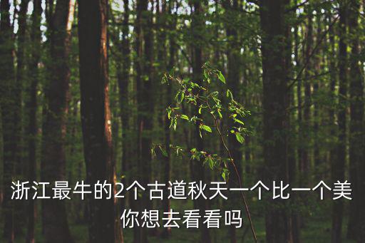 浙江最牛的2個古道秋天一個比一個美你想去看看嗎