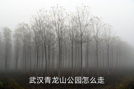 青龍山公園，武漢青龍山公園怎么走