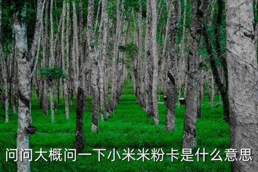 問問大概問一下小米米粉卡是什么意思