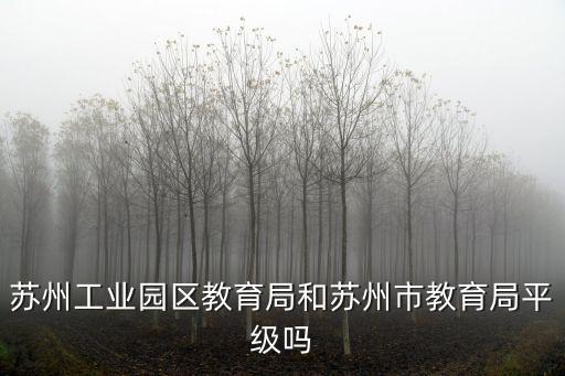 蘇州工業(yè)園區(qū)教育，蘇州園區(qū)啊有什么比較好的教育機(jī)構(gòu)么求