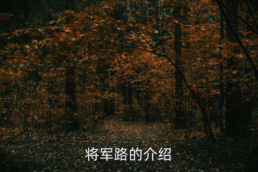 將軍路的介紹