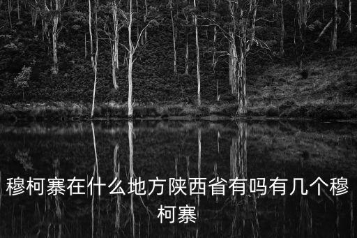 穆柯寨在什么地方陜西省有嗎有幾個穆柯寨