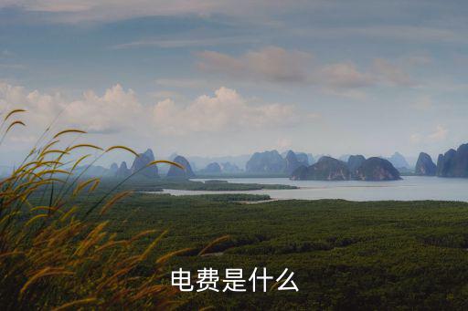 電費是什么