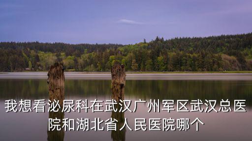 廣州軍區(qū)武漢總醫(yī)院，廣州軍區(qū)武漢總醫(yī)院是公立醫(yī)院?jiǎn)?/></a></span><span id=
