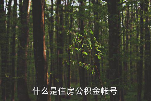 什么是住房公積金帳號