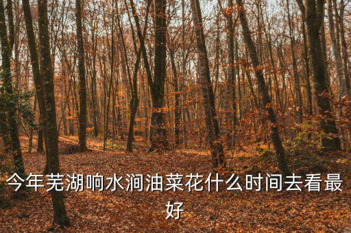 今年蕪湖響水澗油菜花什么時(shí)間去看最好