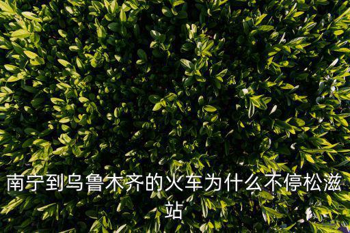 松滋站，松滋有哪些火車站機場