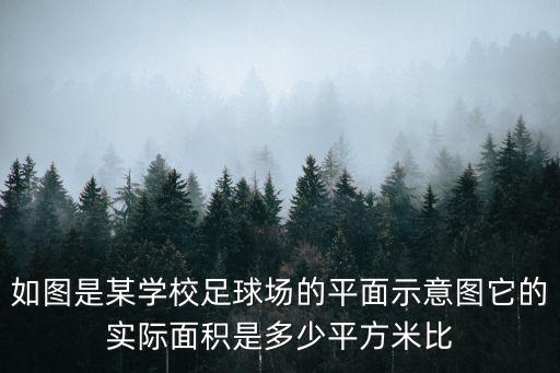如圖是某學(xué)校足球場(chǎng)的平面示意圖它的實(shí)際面積是多少平方米比