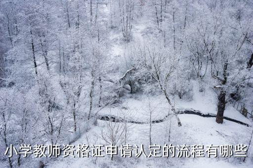 教資認定流程，小學教師資格證申請認定的流程有哪些