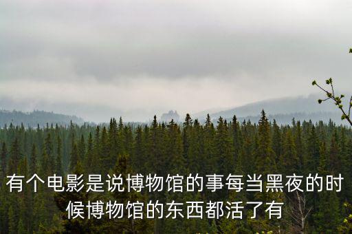 有個電影是說博物館的事每當黑夜的時候博物館的東西都活了有
