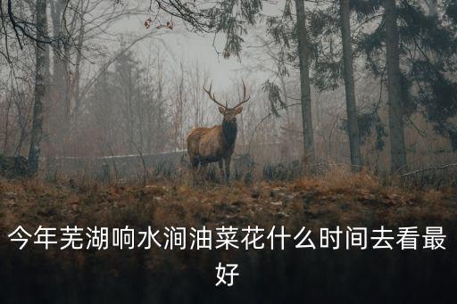 蕪湖響水澗，今年蕪湖響水澗油菜花什么時(shí)間去看最好