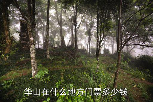 西安華山旅游，去西安華山旅游好玩嗎