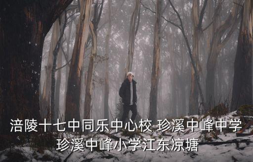 涪陵十七中同樂中心校 珍溪中峰中學(xué) 珍溪中峰小學(xué)江東涼塘