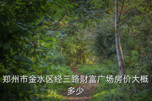 鄭州市金水區經三路財富廣場房價大概多少