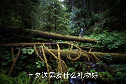 七夕送男友什么禮物好