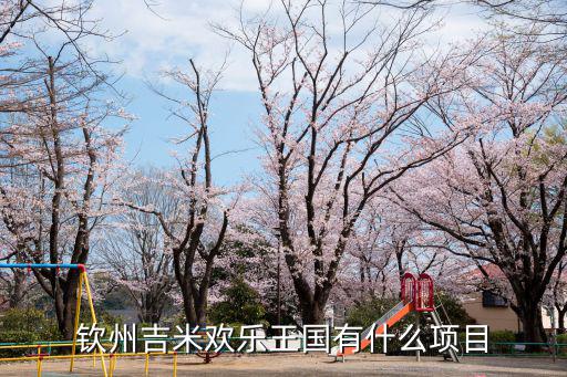 欽州吉米歡樂王國有什么項目