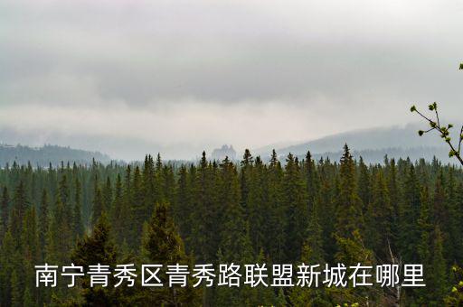 南寧青秀區青秀路聯盟新城在哪里