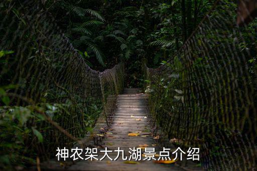 神農(nóng)架大九湖，神農(nóng)架大九湖的介紹