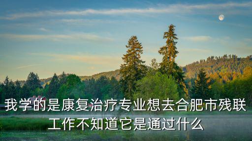 我學的是康復治療專業(yè)想去合肥市殘聯(lián)工作不知道它是通過什么