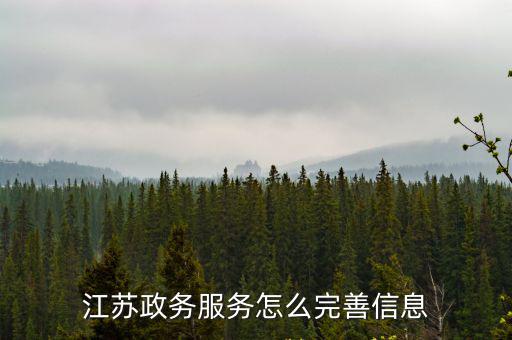 江蘇政務服務怎么完善信息