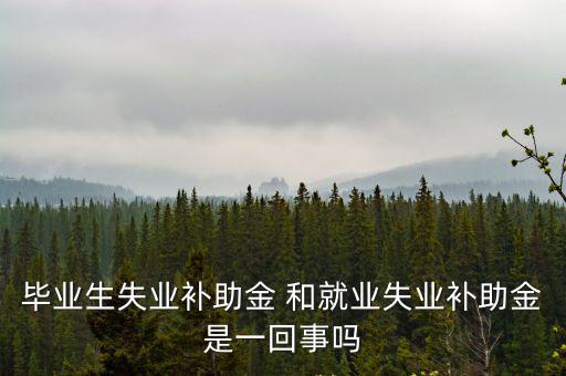 就業(yè)補(bǔ)貼，就業(yè)補(bǔ)貼必須是父母的低保才行嘛