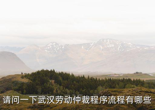 請問一下武漢勞動仲裁程序流程有哪些