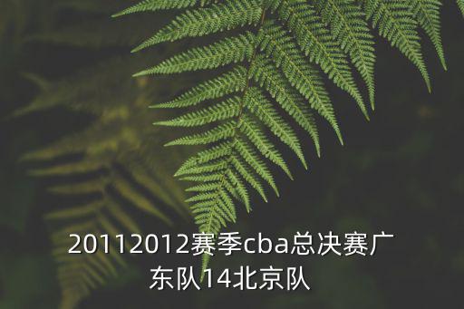 廣東隊賽程，20112012賽季cba總決賽廣東隊14北京隊