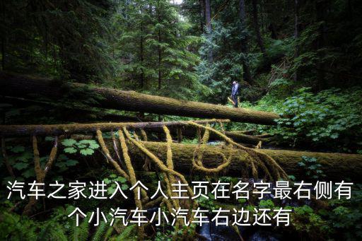 汽車之家進入個人主頁在名字最右側(cè)有個小汽車小汽車右邊還有