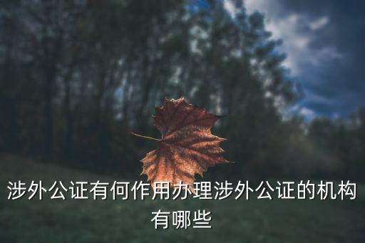 涉外公證有何作用辦理涉外公證的機構有哪些